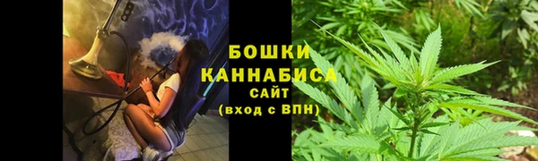 первитин Осинники